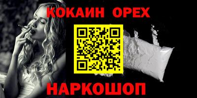 гидра Новодвинск
