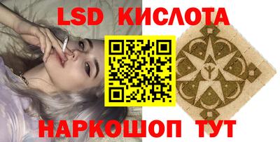 гидра Новодвинск