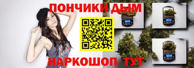 гидра Новодвинск