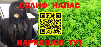 PSILOCYBIN Новокубанск