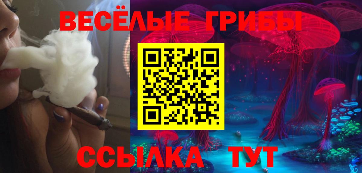 Галлюциногенные грибы Magic Shrooms Рузаевка